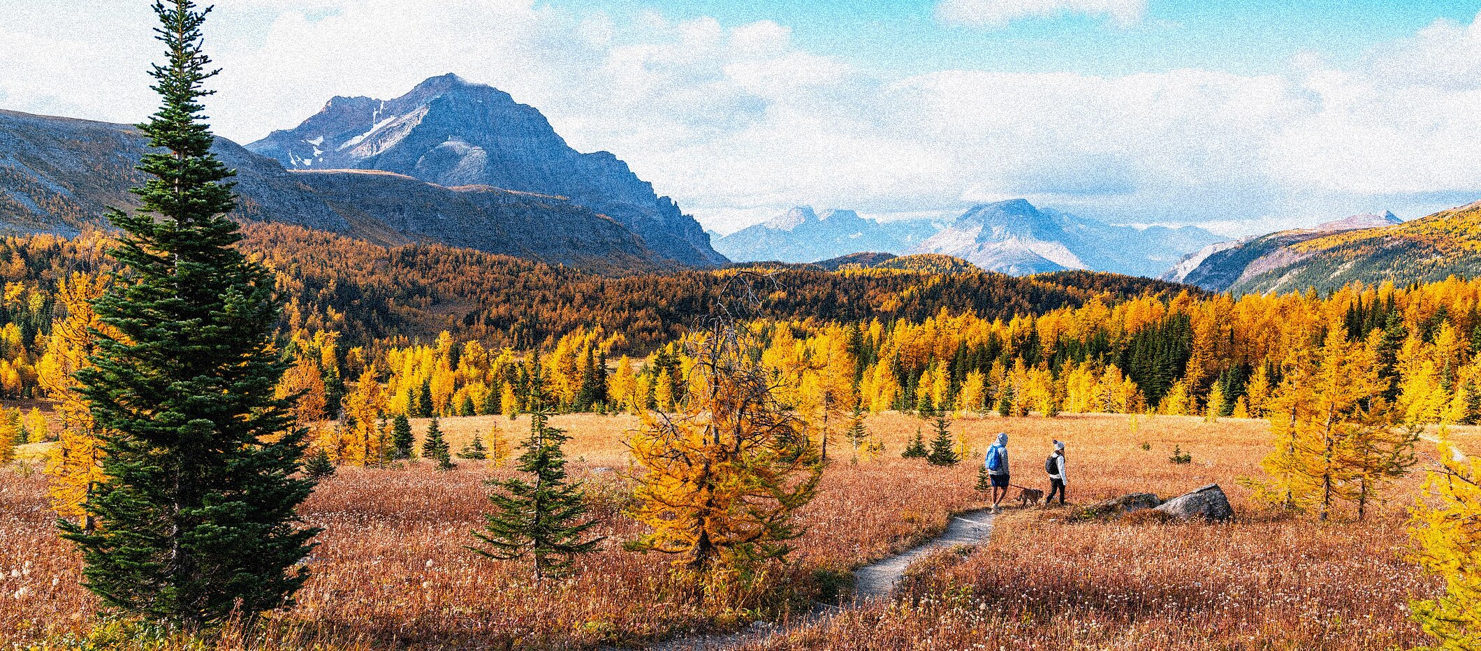 value_page_home_banner